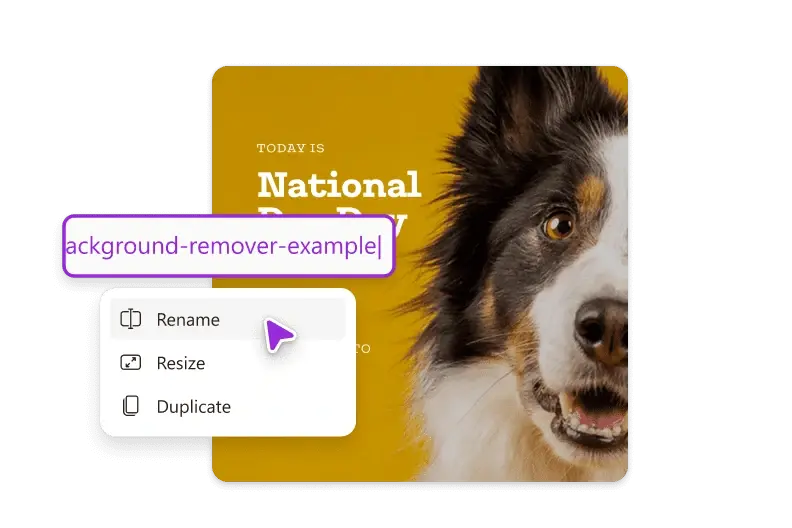 Cursor hovering over the menu for renaming an image file